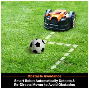 image-6b985fc8dd894c5c9208122d35a09915 image-6b985fc8dd894c5c9208122d35a09915