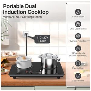 image-9d44efcde4994822af26ff7dd66fad01 image-9d44efcde4994822af26ff7dd66fad01