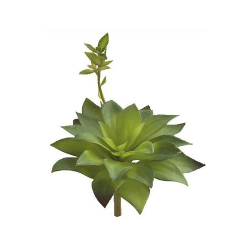 Suculenta em plástico Brilliance 17cm verde