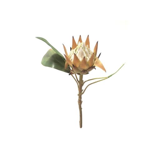 Haste protea em plástico Brilliance 51cm marrom Haste protea em plástico Brilliance 51cm marrom