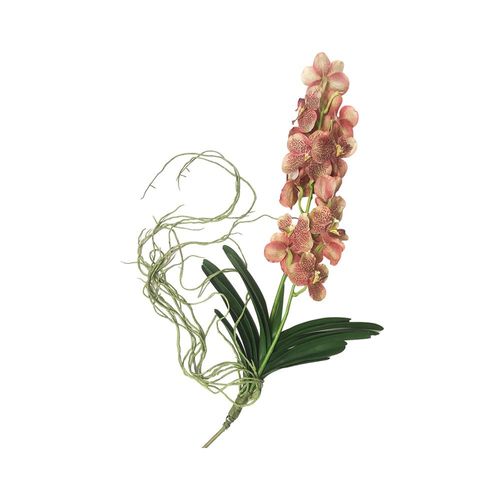 Haste em plástico Helicona Brilliance 90cm marrom Haste em plástico Helicona Brilliance 90cm marrom