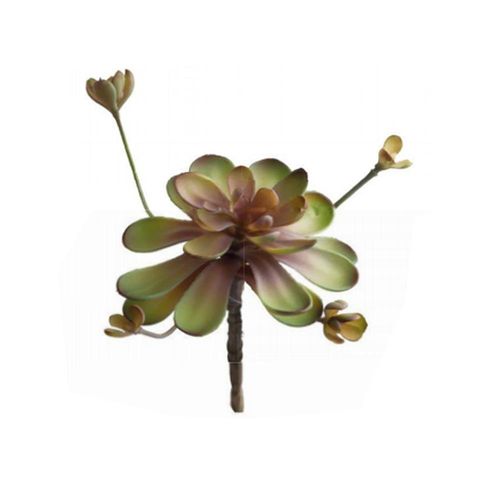 Suculenta em plástico Brilliance Butterfly 18cm Suculenta em plástico Brilliance Butterfly 18cm