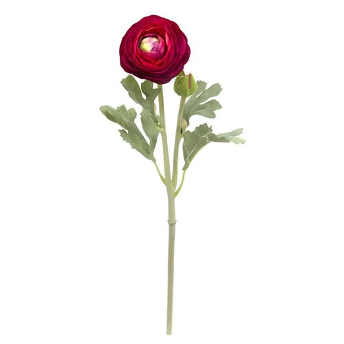 Haste de Ranunculus em plástico com botão Brilliance 55cm AC010-VM Haste de Ranunculus em plástico com botão Brilliance 55cm AC010-VM