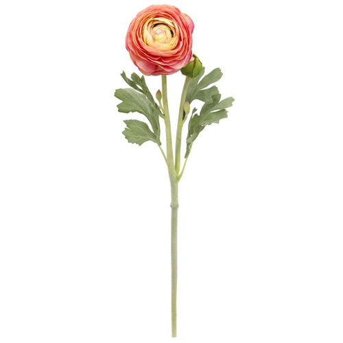 Haste de Ranunculus em plástico com botão Brilliance 55cm AC010-RS Haste de Ranunculus em plástico com botão Brilliance 55cm AC010-RS