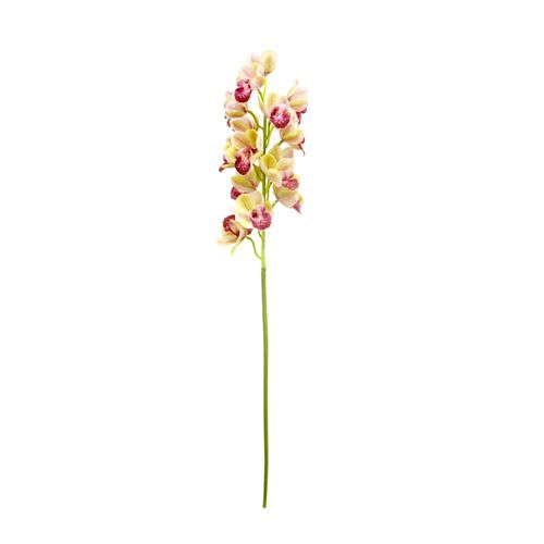 Haste Cymbidium em plástico Brilliance 85cm SM338-VD Haste Cymbidium em plástico Brilliance 85cm SM338-VD