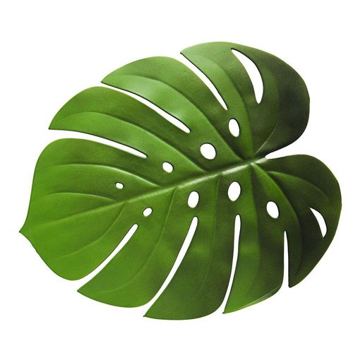 Lugar americano em plástico Copa&Cia Giardino Folha de Adão 37x47cm verde Lugar americano em plástico Copa&Cia Giardino Folha de Adão 37x47cm verde