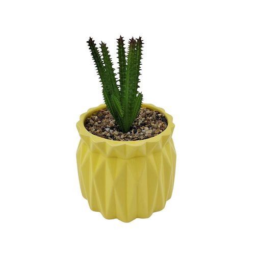 Vaso com suculenta em dolomita e plástico L'Hermitage Ø12,7xA21,5cm amarela Vaso com suculenta em dolomita e plástico L'Hermitage Ø12,7xA21,5cm amarela