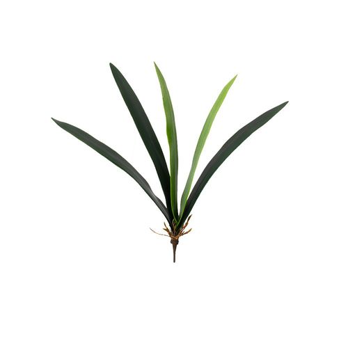 Folha de orquídea phalaenopsis 5 folhas em plástico Brilliance 40cm verde Folha de orquídea phalaenopsis 5 folhas em plástico Brilliance 40cm verde