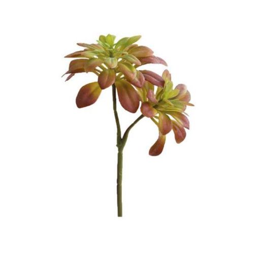 Haste suculenta echeveria 2 galhos em silicone Brilliance 28cm Haste suculenta echeveria 2 galhos em silicone Brilliance 28cm