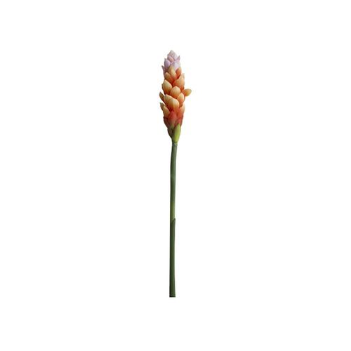 Haste em plástico Brilliance Alpinia 90cm laranja Haste em plástico Brilliance Alpinia 90cm laranja