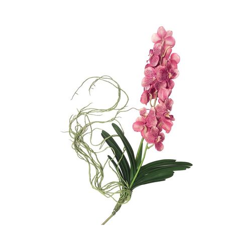 Haste de orquidea Brilliance 90cm