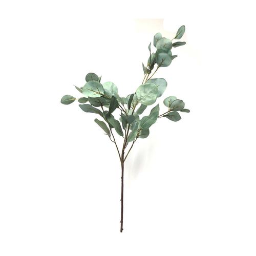 Haste eucalipto em plástico Brilliance Haste eucalipto em plástico Brilliance