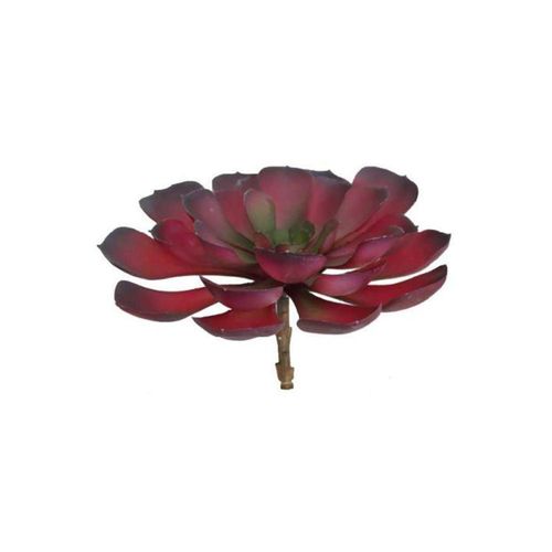 Haste echeveria em plástico Brilliance 15cm Haste echeveria em plástico Brilliance 15cm