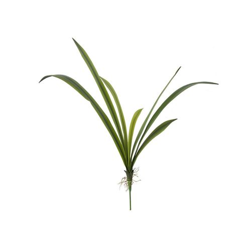 Haste Folha de Orquídea Cymbidium em silicone Brilliance 57cm Haste Folha de Orquídea Cymbidium em silicone Brilliance 57cm