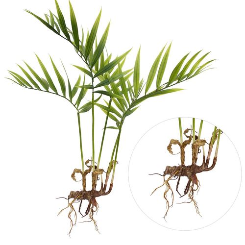 Mini Palmeira em plástico Brilliance 62cm Mini Palmeira em plástico Brilliance 62cm