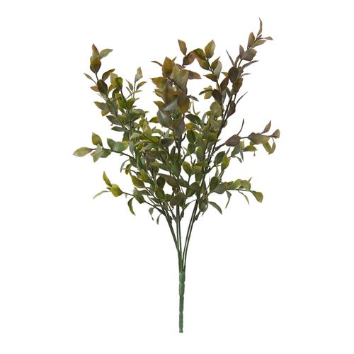 Folha de Laranjeira Outonado Brilliance 45cm Folha de Laranjeira Outonado Brilliance 45cm