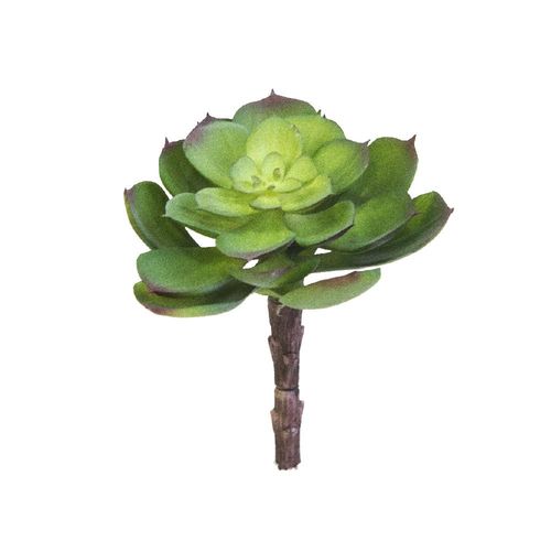 Haste Echeveria em plástico Brilliance pequena 13x9cm Haste Echeveria em plástico Brilliance pequena 13x9cm