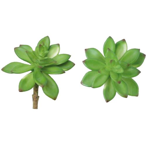 Suculenta Echeveria em plástico Brilliance 13cm Suculenta Echeveria em plástico Brilliance 13cm