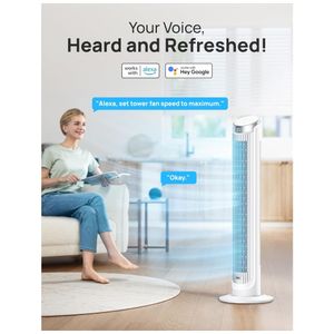 image-90d2e60e7e474aa297716099ad50f70b image-90d2e60e7e474aa297716099ad50f70b