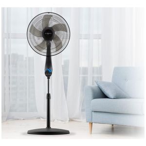 image-e1bf64ca2bc14ab086bd399ac6f8e975 image-e1bf64ca2bc14ab086bd399ac6f8e975