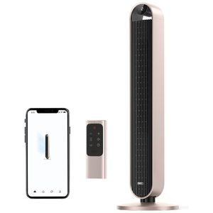 image-55ffef78f6ca4a79ae8a4ef048e21f22