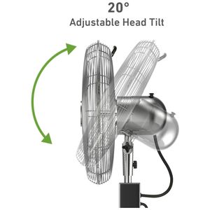 image-7369c5962501410399c46d3b39f3f6f6 image-7369c5962501410399c46d3b39f3f6f6