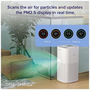 image-ef6f38ec90f64187af22f4aeedc969e0 image-ef6f38ec90f64187af22f4aeedc969e0