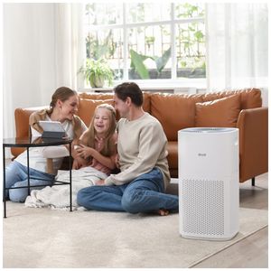 image-c41d66d9d8f64456847391139470d5ad image-c41d66d9d8f64456847391139470d5ad