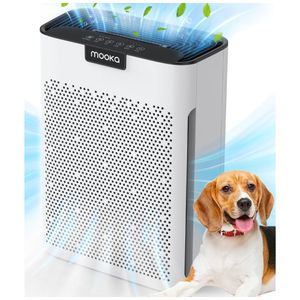 image-96dec4ae13024ac28a13e20c95b5c32f