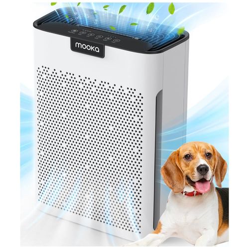 image-96dec4ae13024ac28a13e20c95b5c32f image-96dec4ae13024ac28a13e20c95b5c32f