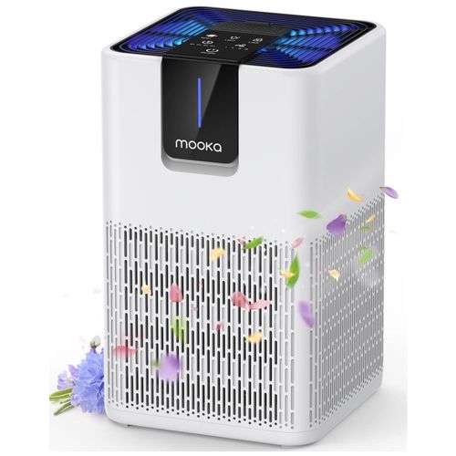 image-032a26e3803f4c6cbdbd04cc8ef6f254 image-032a26e3803f4c6cbdbd04cc8ef6f254