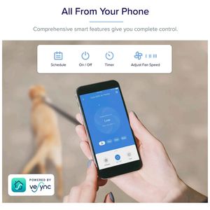 image-a5a03eed26e84fdd82d173c9707e4622 image-a5a03eed26e84fdd82d173c9707e4622