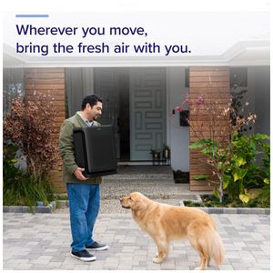 image-66854fa2af4447da910e9d3d005058d1 image-66854fa2af4447da910e9d3d005058d1