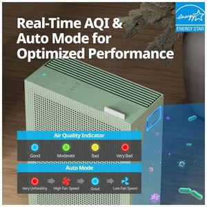 image-27a26c9a3453479ba3465d783621b587 image-27a26c9a3453479ba3465d783621b587