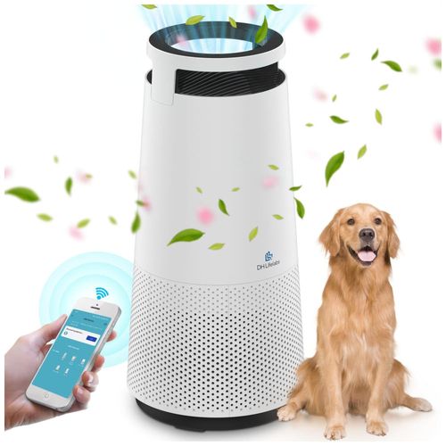 image-2664f1ef80b84acf82037cae614bd9a3 image-2664f1ef80b84acf82037cae614bd9a3