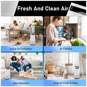 image-fd3e16d9f6a742c4b6cccd770376d1b9