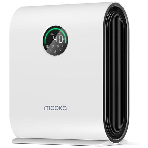 image-e31933018c2b41f698fa5eaf567ed153 image-e31933018c2b41f698fa5eaf567ed153