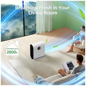 image-a89c7bb268124821b2ab0b2d15fc3402 image-a89c7bb268124821b2ab0b2d15fc3402