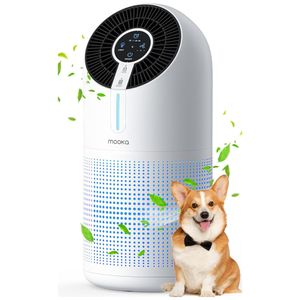 image-0f5dd7e3c7454cf39574679f7b94a51e