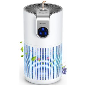 image-63d08d97d3e54a1789fab9ae64df1cf8