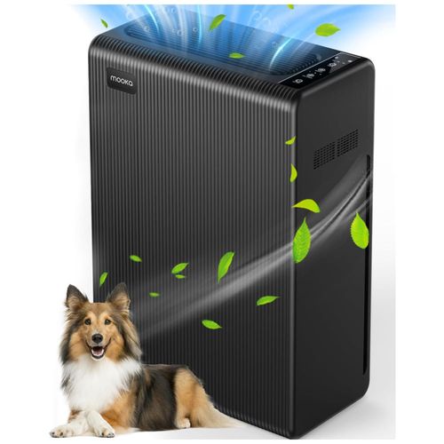 image-552571ce4df0425593a91492cbb5908f image-552571ce4df0425593a91492cbb5908f