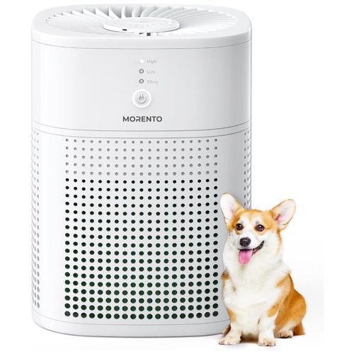 image-fec1a1e8ca3a422dae0aacae6666d0ea image-fec1a1e8ca3a422dae0aacae6666d0ea