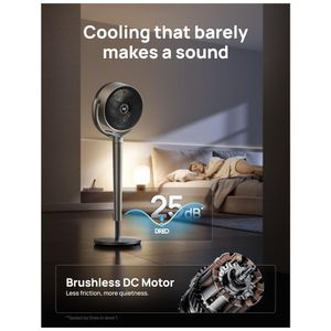 image-c06dc0328c504f45b2f7f74a13e492a6 image-c06dc0328c504f45b2f7f74a13e492a6