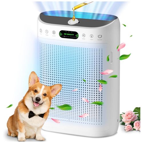 image-b9b2c95c25d649848c5339728e99c5b1 image-b9b2c95c25d649848c5339728e99c5b1