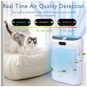 image-33ceef994f35415596be07f8ecab1593