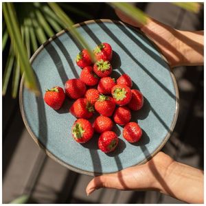 image-97d12f72f7b54eaaa8605935cc0455f2