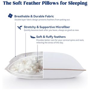 image-34232b4e76534588b52c6496fcd34b47 image-34232b4e76534588b52c6496fcd34b47