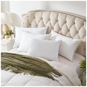 image-2539e81021bf48718030e6cbc01941fd image-2539e81021bf48718030e6cbc01941fd