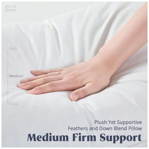 image-1a3fa53b1cf7452faebda5304cc75785 image-1a3fa53b1cf7452faebda5304cc75785