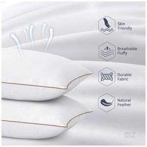 image-2677f98c3d9b4824bbb13c28b376f8c4 image-2677f98c3d9b4824bbb13c28b376f8c4